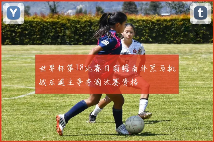 世界杯第18比赛日前瞻南非黑马挑战东道主争夺淘汰赛资格