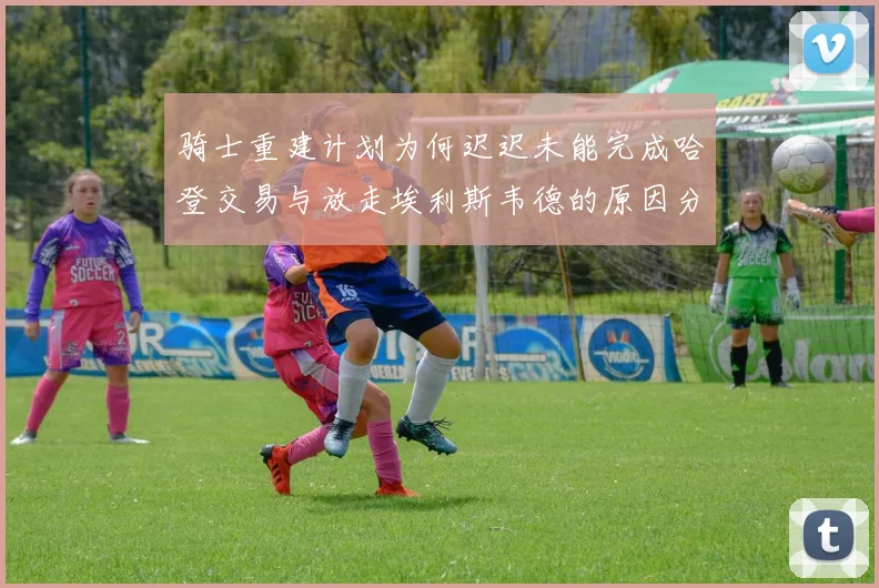 骑士重建计划为何迟迟未能完成哈登交易与放走埃利斯韦德的原因分析